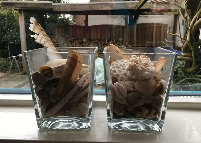 De Akelei 公寓 洛赫姆