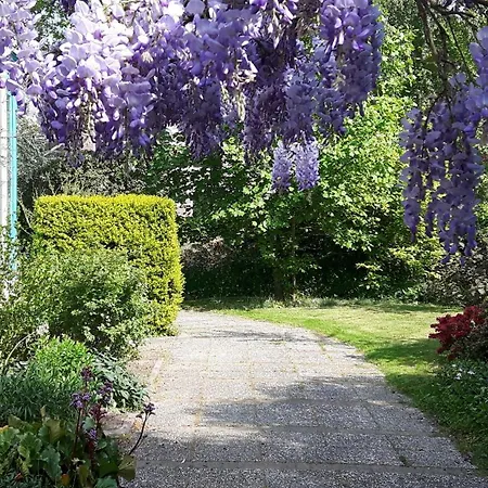 De Akelei Apartament