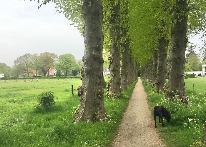 Apartament De Akelei Lochem