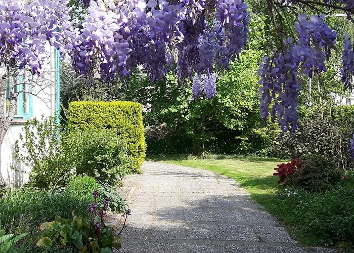 De Akelei Apartament